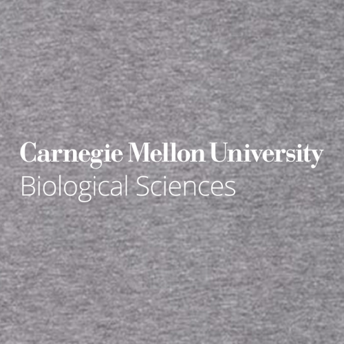 Gildan DryBlend 50/50 T-Shirt -- Graphite Heather