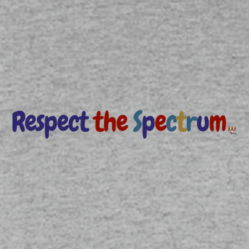 [HIDE] Respect the Spectrum Hoodie -- Sport Grey
