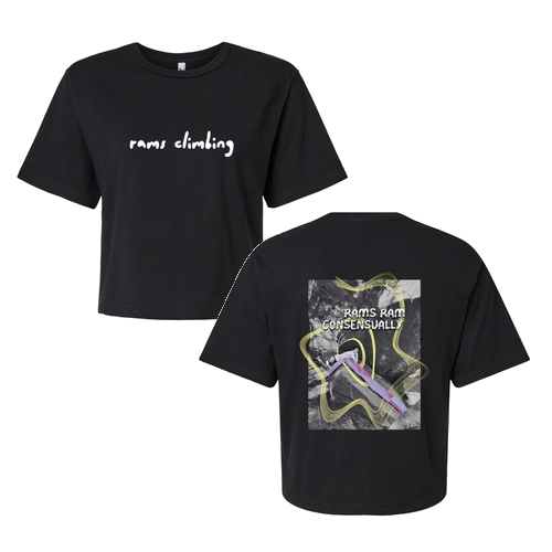 American Apparel Women's Fine Jersey Boxy Tee -- Black