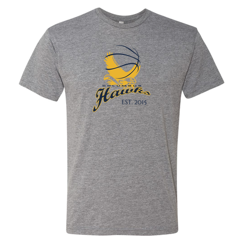 Next Level Mens TriBlend Tee -- Premium Heather
