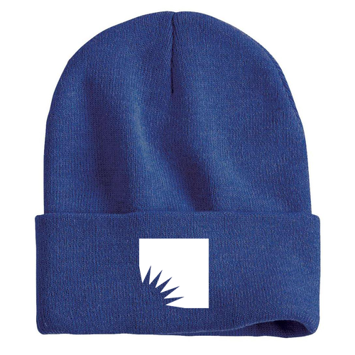 Sportsman Solid 12" Cuffed Beanie -- Heather Royal