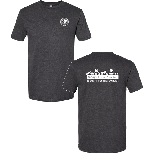 Gildan Softstyle CVC Tee -- Pitch Black Mist