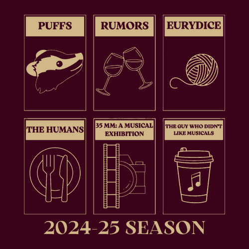 Gildan Heavy Cotton Basic T-Shirt -- Maroon