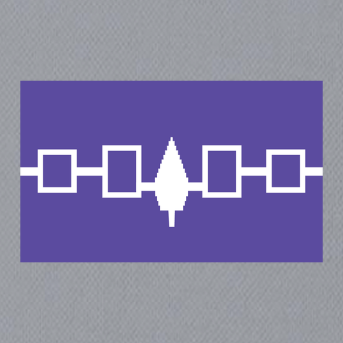 HAUDENOSAUNEE Performance Tee -- WOMEN'S Silver