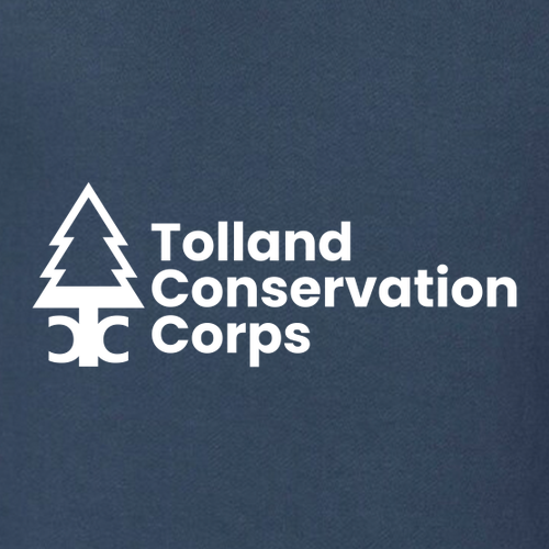 Hanes 7.8 Oz., 50/50 Comfort Blend Fleece Pullover Hood Adult -- Denim