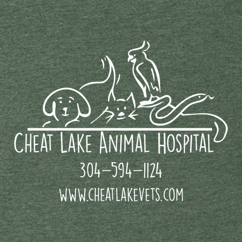 Bella+Canvas Unisex Heather Cvc Long Sleeve Tee- Heathers -- Heather Forest
