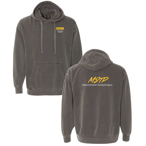 Comfort Colors Garment Dyed Hooded Pullover Sweatshirt -- Pepper