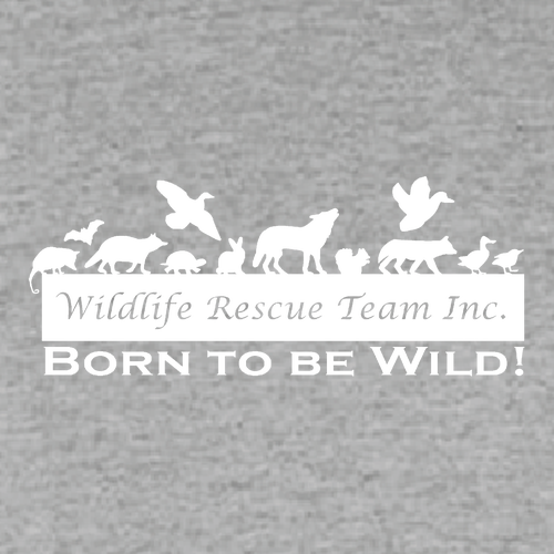 Gildan Heavy Cotton Longsleeve Basic Tee -- Sport Grey