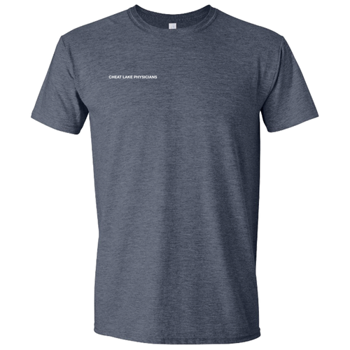 Gildan SoftStyle T-Shirt -- Heather Navy