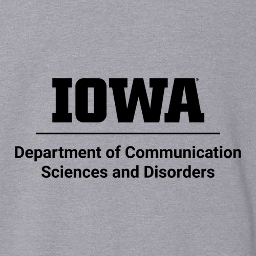 Iowa Lockup Gildan Heavy Cotton Basic T-Shirt -- Sport Grey