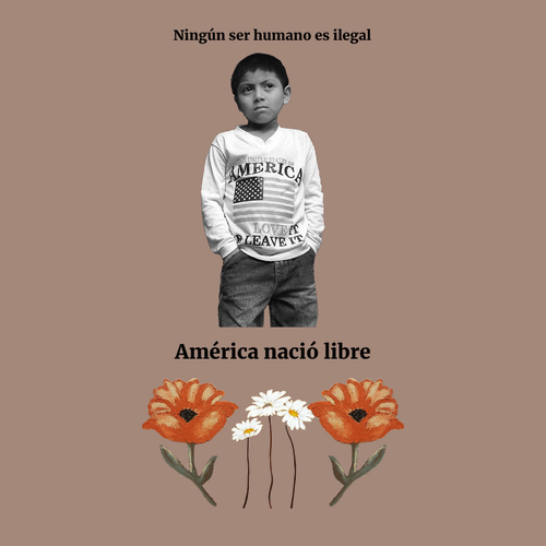 Gildan Heavy Cotton Basic T-Shirt -- Brown Savana