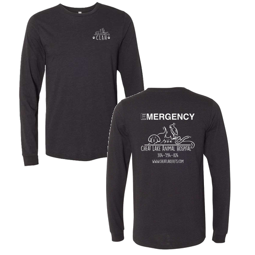 Bella+Canvas Unisex Heather Cvc Long Sleeve Tee- Heathers -- Black Heather