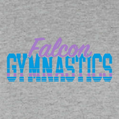 Falcon Gymnastics Youth T-Shirt -- Sport Grey