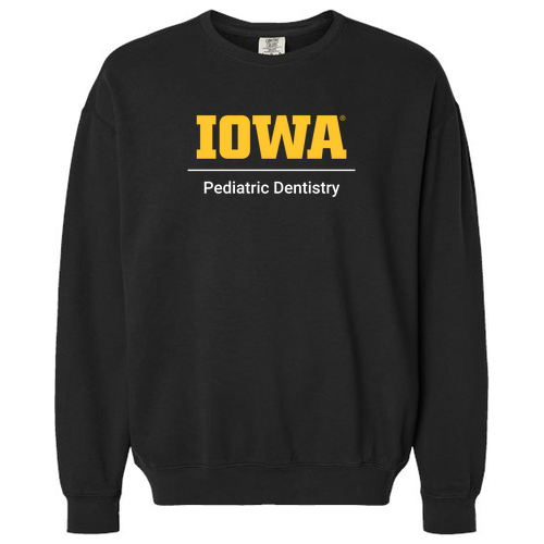 Comfort Colors Unisex Garment-Dyed Lightweight Fleece Crewneck Sweatshirt -- Black