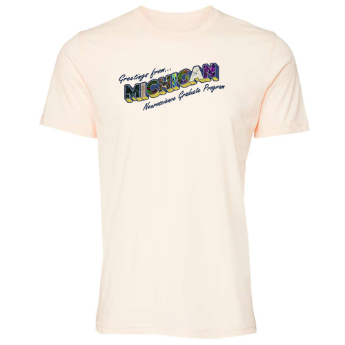 Mens/Unisex Bella Canvas Triblend Short Sleeve T-Shirt -- Solid Natural