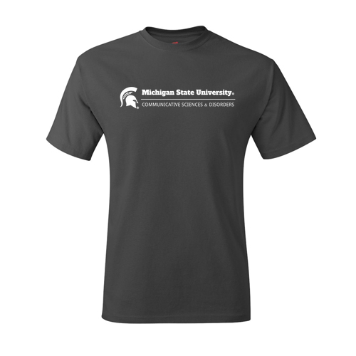 Hanes Authentic Short Sleeve T-Shirt -- Smoke Grey