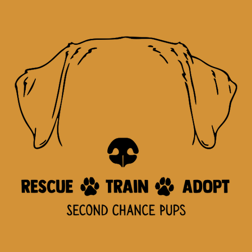 American Apparel CVC Unisex Raglan T-Shirt -- White / Heather Mustard