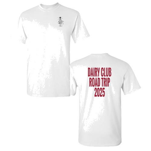 Gildan Heavy Cotton Basic T-Shirt -- White