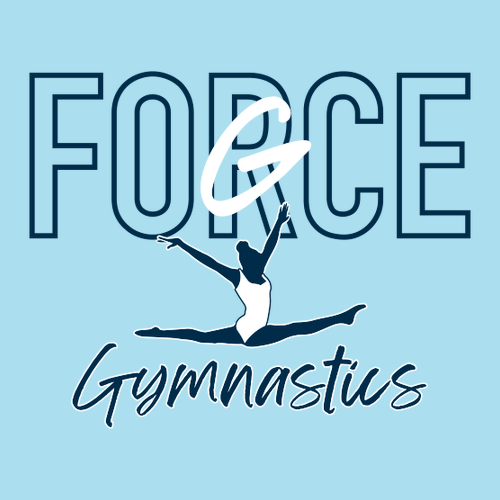 Gildan SoftStyle Fitted T-Shirt -- Sky