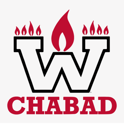 Gildan Heavy Cotton Basic T-Shirt -- White