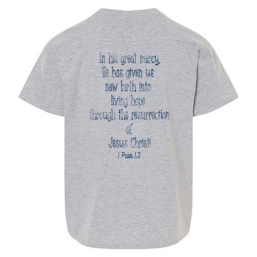 Youth Softstyle T-Shirt -- Sport Grey