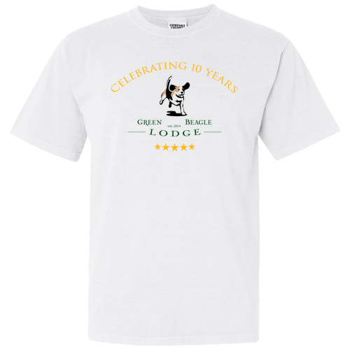 Comfort Colors Ringspun Garment Dyed T Shirt -- White