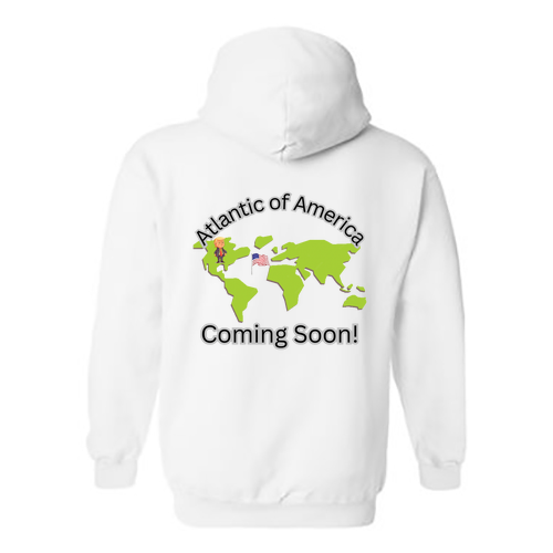 Gildan Heavy Blend Hooded Sweatshirt -- White