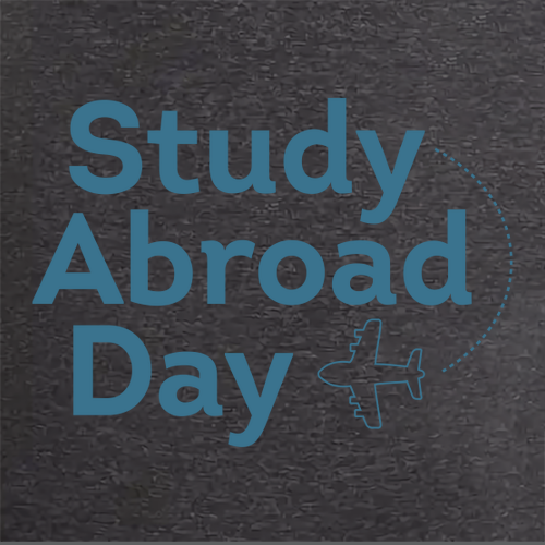 Sportsman Fleece Lined 12" Cuffed Beanie -- Heather Charcoal