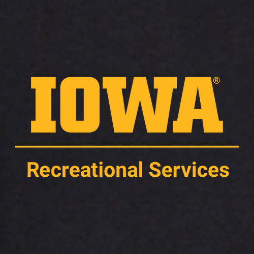 Gildan Softstyle CVC Long Sleeve Tee -- Pitch Black