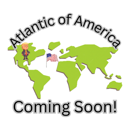 Gildan Heavy Cotton Longsleeve Basic T-Shirt -- White