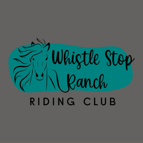 Heavy Cotton Basic T-Shirt -- Charcoal