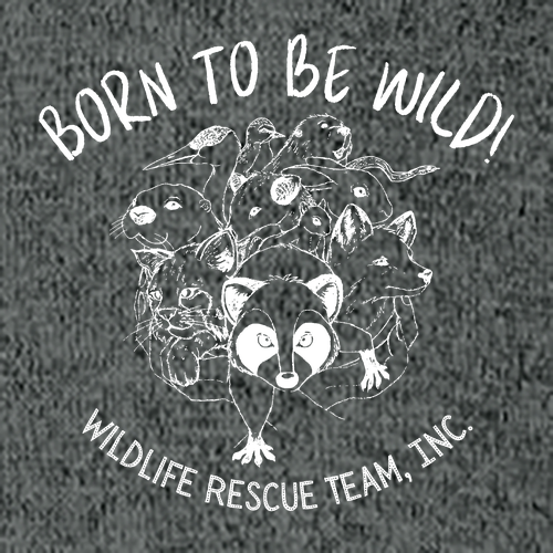 Hanes Perfect-T Ring Spun T-Shirt -- Charcoal Heather