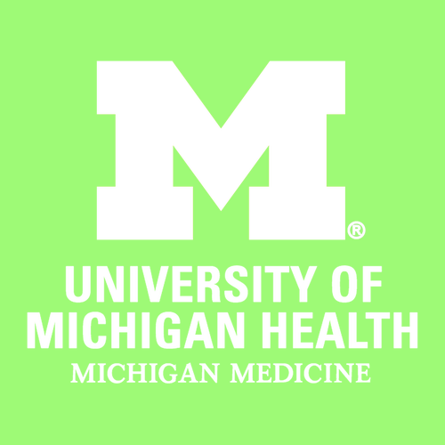 Jerzees Dri-Power Active Adult Longsleeve Tee -- Neon Green