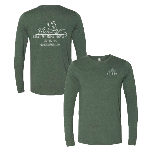 Bella+Canvas Unisex Heather Cvc Long Sleeve Tee- Heathers -- Heather Forest