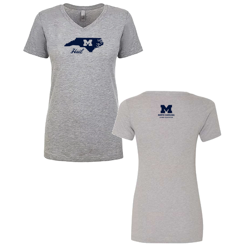 Ladies Next Level Soft Fitted Ideal V-Neck -- Heather Grey