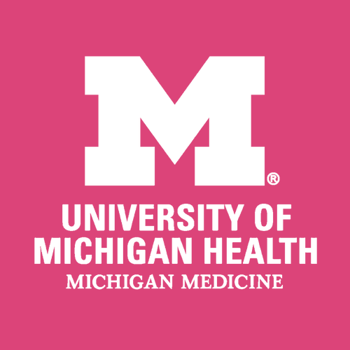 Ladies Next Level Ideal V-Neck Tee -- Raspberry