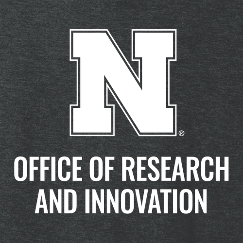 Ladies Long Sleeve Tunic