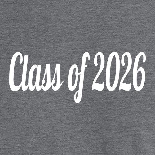Gildan Heavy Cotton Basic T-Shirt -- Graphite Heather