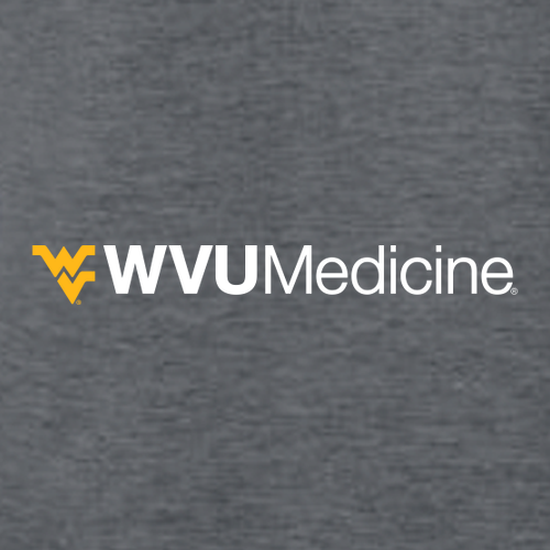 Gildan SoftStyle T-Shirt -- Dark Heather