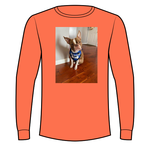 Gildan Ultra Cotton Longsleeve Basic T-Shirt -- Orange