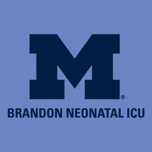 Comfort Colors Soft Quarter Zip Sweatshirt -- Flo Blue