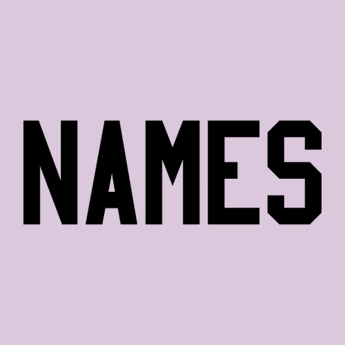 Gildan Ultra Cotton T-Shirt -- Orchid