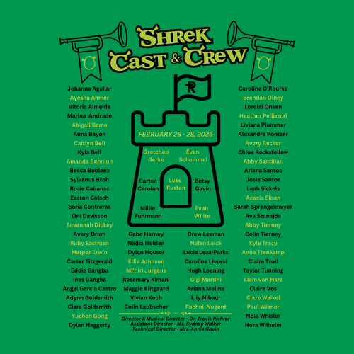 Gildan Heavy Cotton Longsleeve Basic T-Shirt -- Irish Green