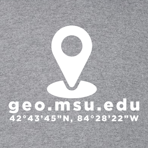 Gildan SoftStyle Fitted T-Shirt -- Graphite Heather