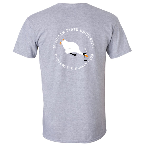 Gildan SoftStyle T-Shirt -- Sport Grey