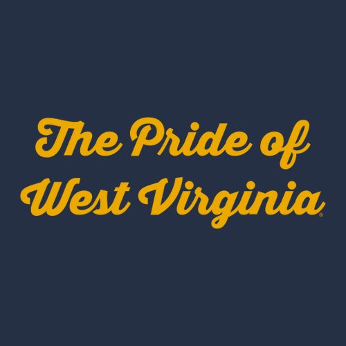 Gildan Heavy Cotton Basic T-Shirt -- Navy