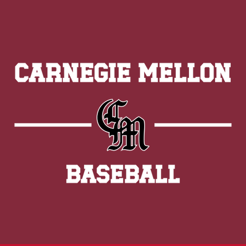 Carnegie Mellon Baseball Hooded Sweatshirt -- Cardinal Red