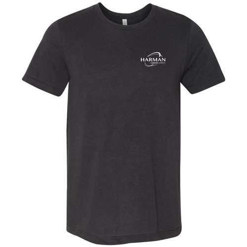 Bella Canvas Triblend Short Sleeve T-Shirt -- Black Heather