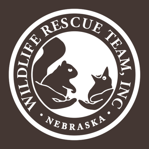 Gildan Full Zip Hooded Sweatshirt -- Dark Chocolate