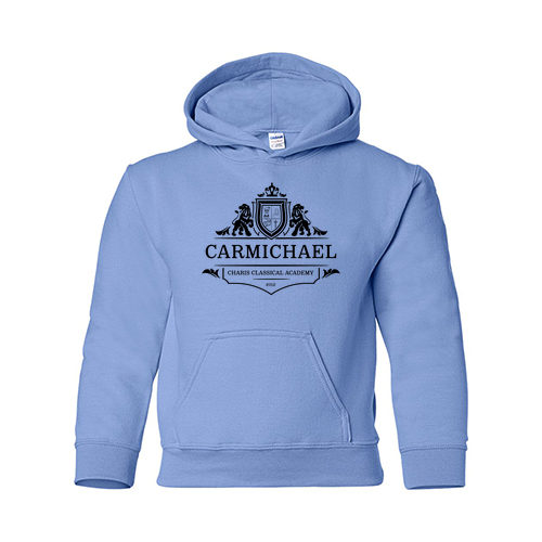 Gildan Heavy Blend Youth Hooded Sweatshirt -- Carolina Blue